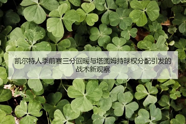 凯尔特人季前赛三分回暖与塔图姆持球权分配引发的战术新观察（YYSports）